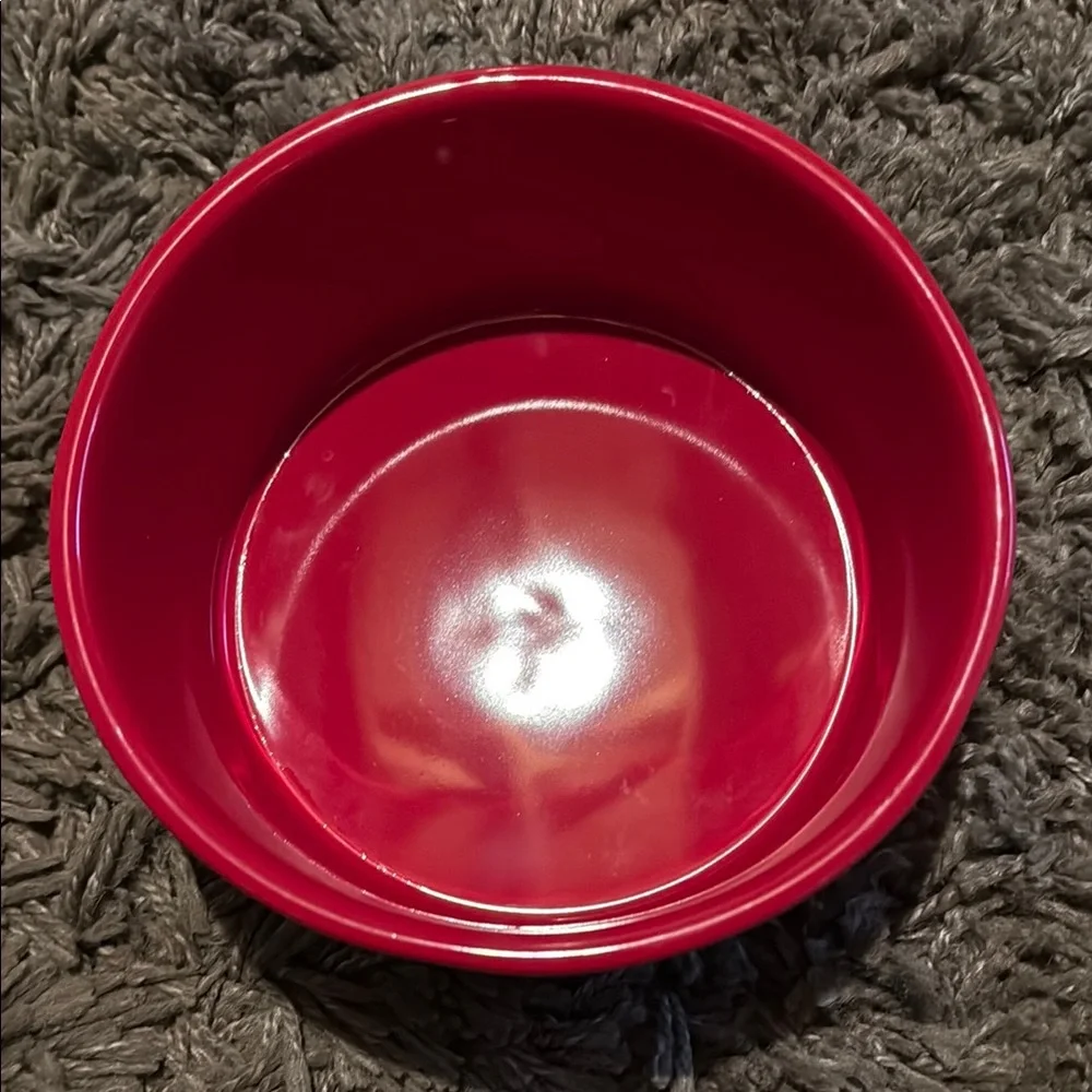 RAE DUNN Artisan Collection by Magenta 